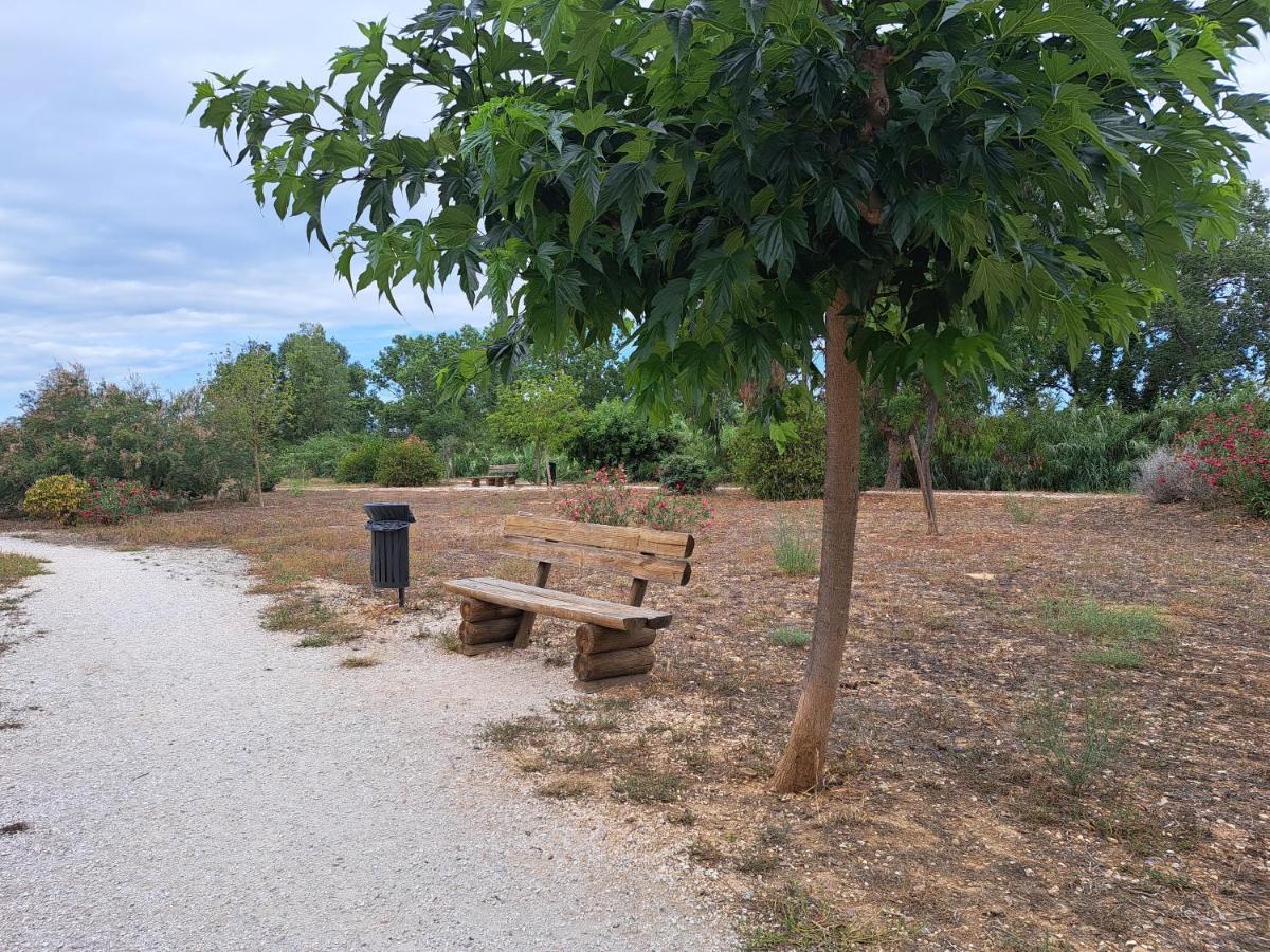 Studio Proche De Perpignan Peyrestortes Exterior foto